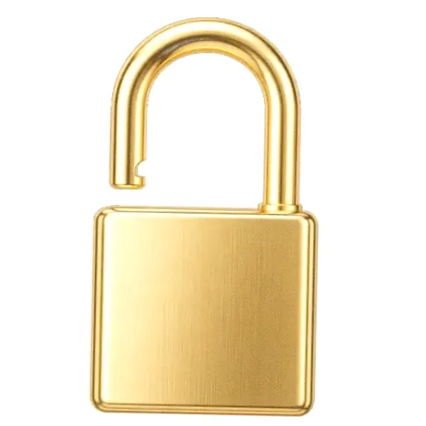Padlock — Mfortune