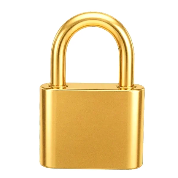 Orange padlock — Mfortune